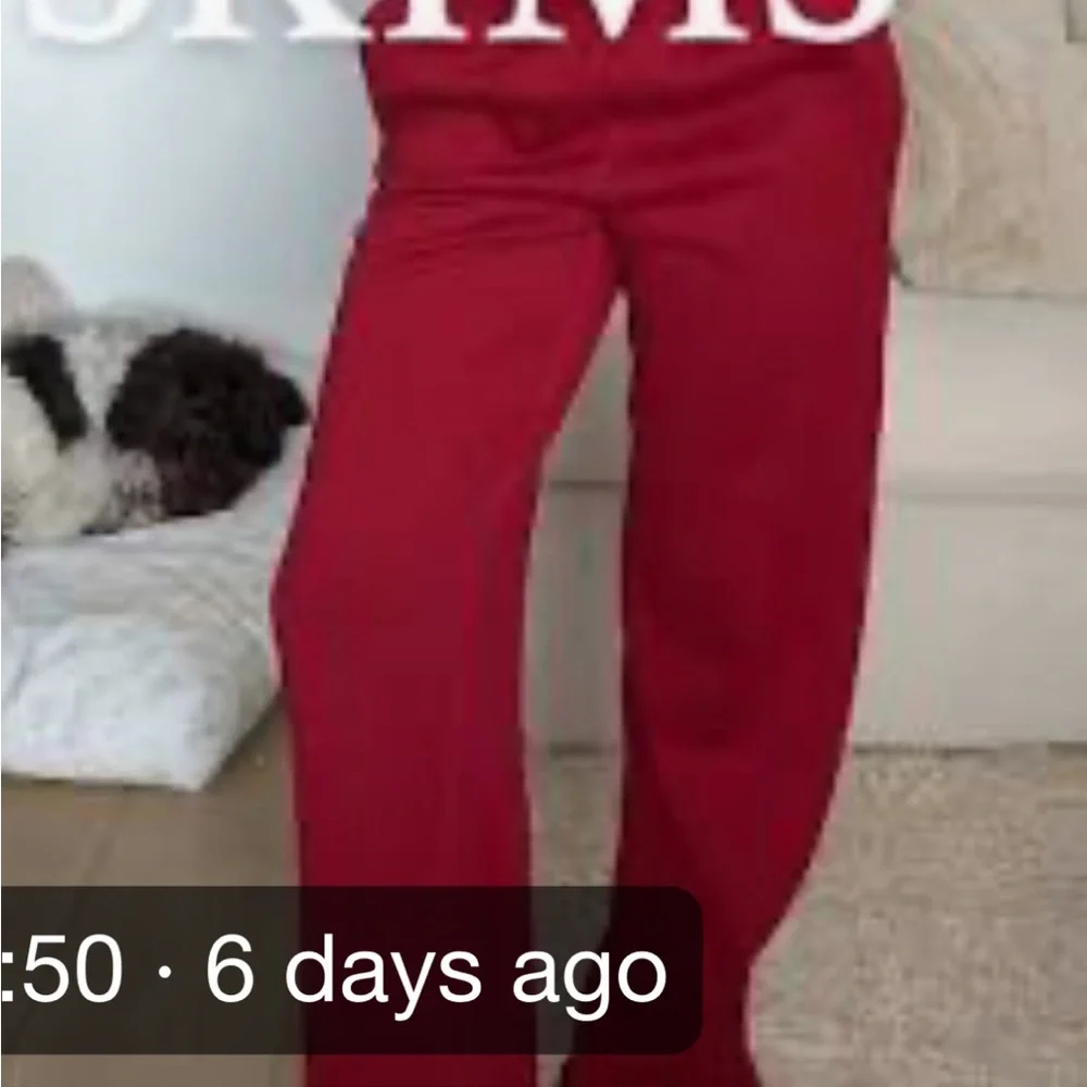 SKIMS Cotton Fleece Straight Leg Pant in Brick - Picture 3 of 4